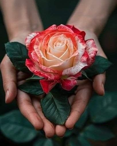 Helena Sacadura Cabral